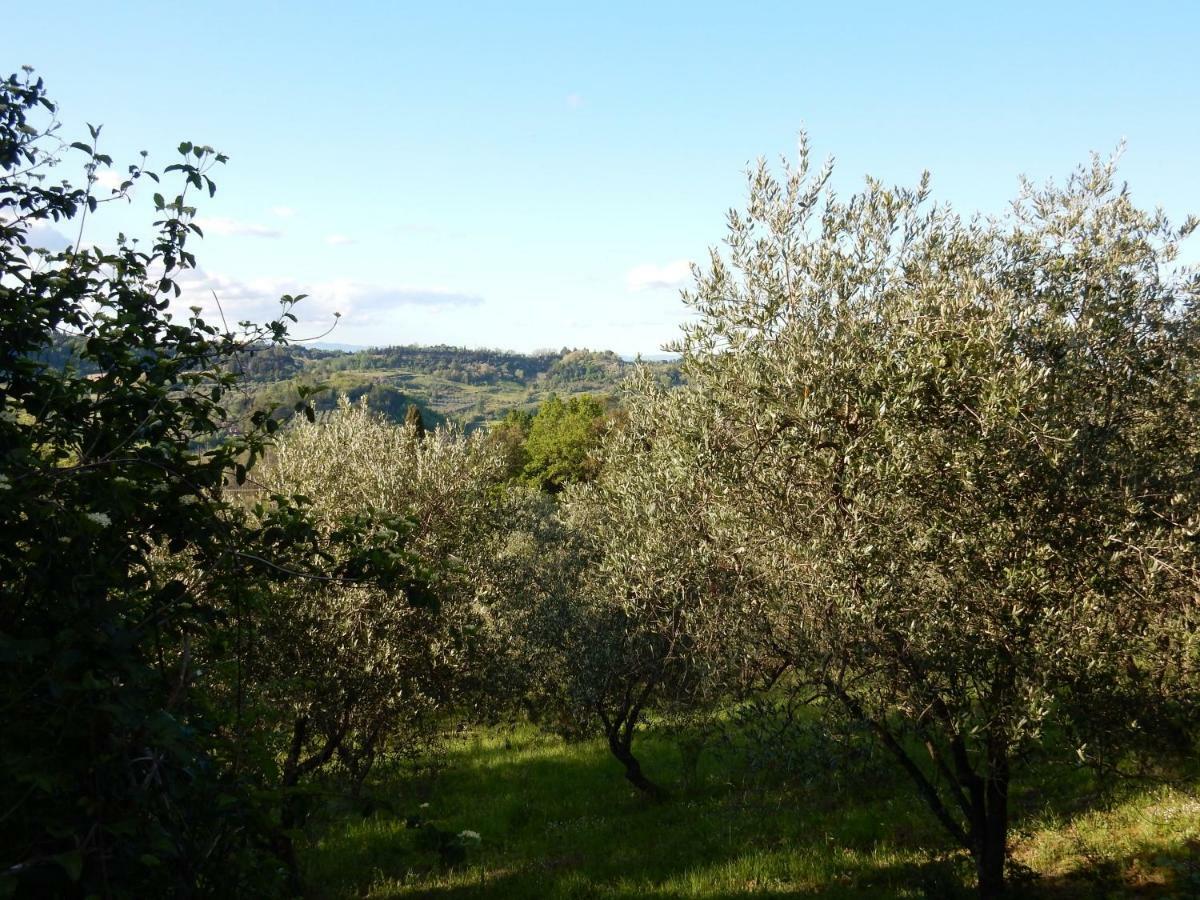 Agriturismo Anna-Rosa Legoli Luaran gambar