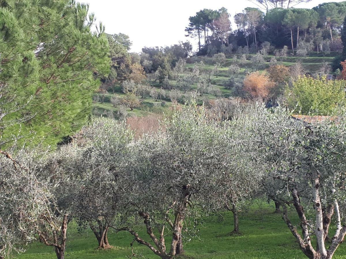Agriturismo Anna-Rosa Legoli Luaran gambar